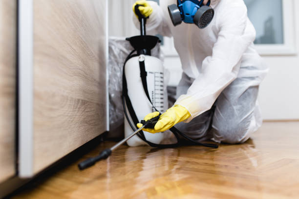 Trusted Avalon, CA Pest Control Experts