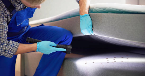 Best Flea Control Services  in Avalon, CA